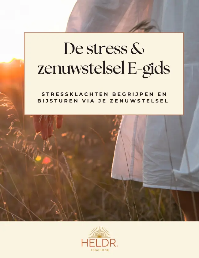 De stress en zenuwstelsel Egids - Beaudine de Groot